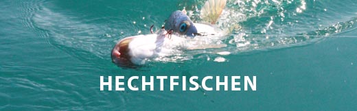 hechtfischen