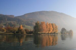 herbst-04